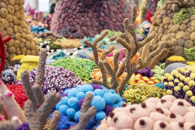 国際芸術祭「あいち2025」 展示風景 ムルヤナ『海流と開花のあいだ』2019- © 国際芸術祭「あいち」組織委員会