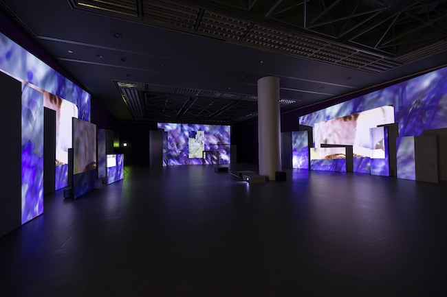 国際芸術祭「あいち2025」 展示風景 バゼル・アッバス & ルアン・アブ=ラーメ『忘却が唇を奪わぬよう:私たちを震わせる響きだけが』 2025 ©︎ 国際芸術祭「あいち」組織委員会