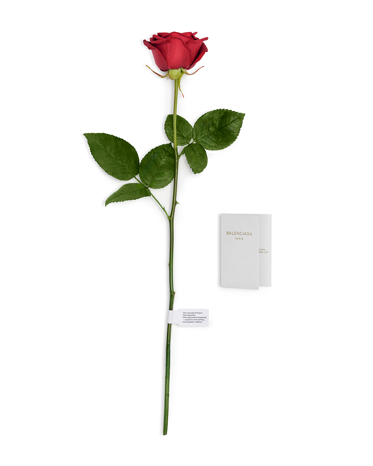 Courtesy of Balenciaga