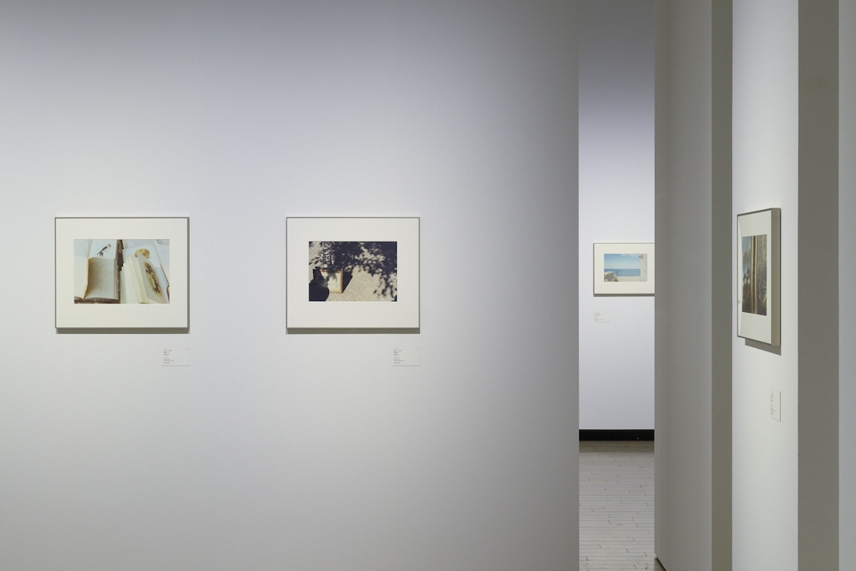 展示風景：「総合開館30周年記念 ルイジ・ギッリ 終わらない風景」東京都写真美術館、2025年　撮影：髙橋健治　画像提供：東京都写真美術館