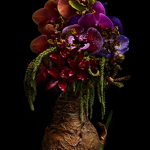 東信「今月のフラワーアート」非現実な奇跡の光景 | Numero TOKYO