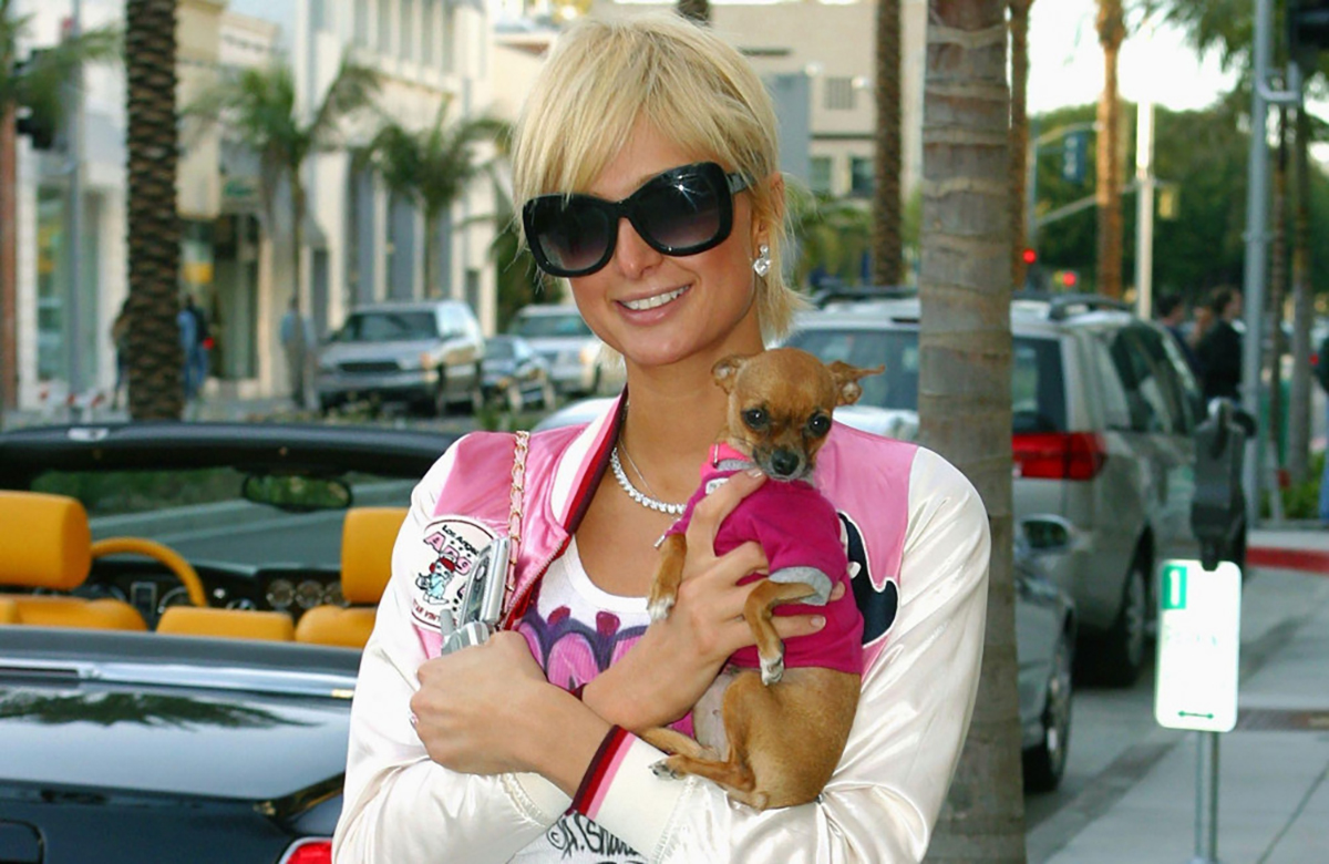 ©Bang Media International