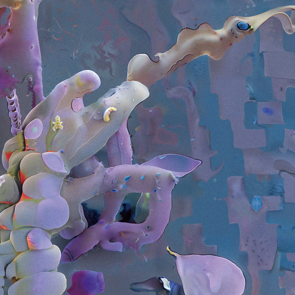 エンタングルド アザーズ『specious upwellings(見せかけの湧昇)』2022-24年(部分)