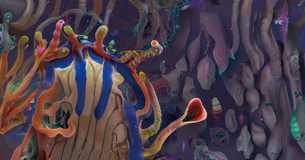 画像が削除されました