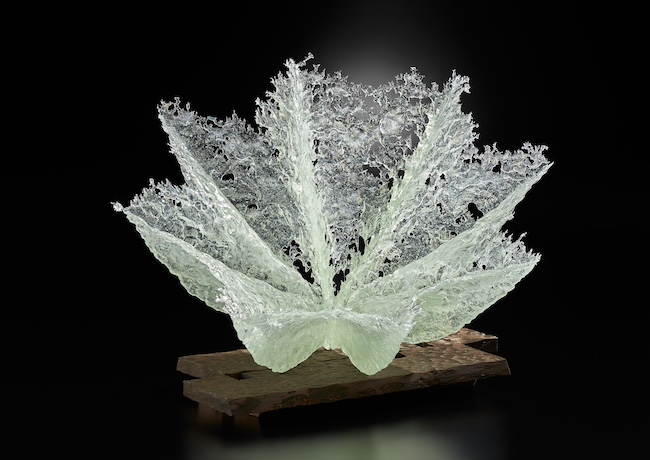 藤原信幸『種子のかたち(小文間の植物シリーズ)』(2015年)