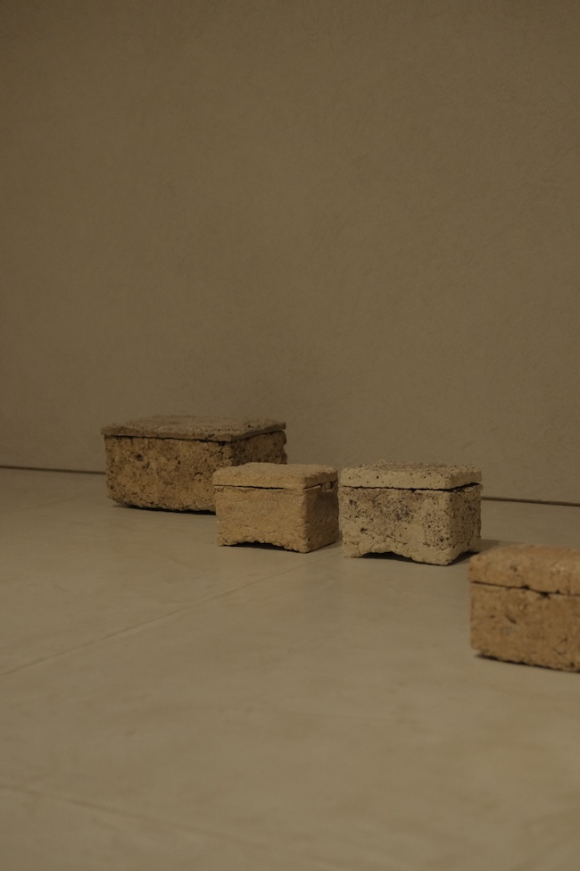 ©2025 Wataru Myosyu/Vacant