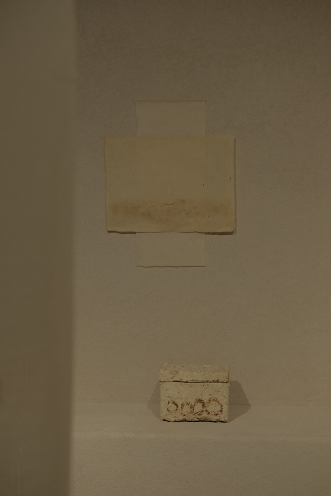 ©2025 Wataru Myosyu/Vacant