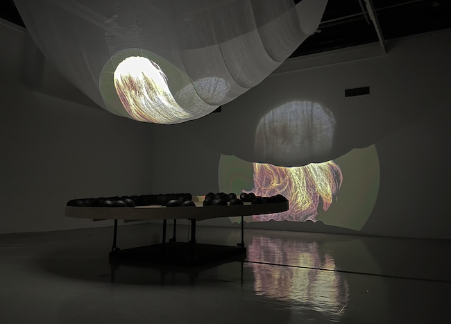 チュオン・クエ・チー/ グエン・フォン・リン 参考作品『Sourceless Waters: White. Shadow』(2024年) アジアン・アート・ビエンナーレ2024