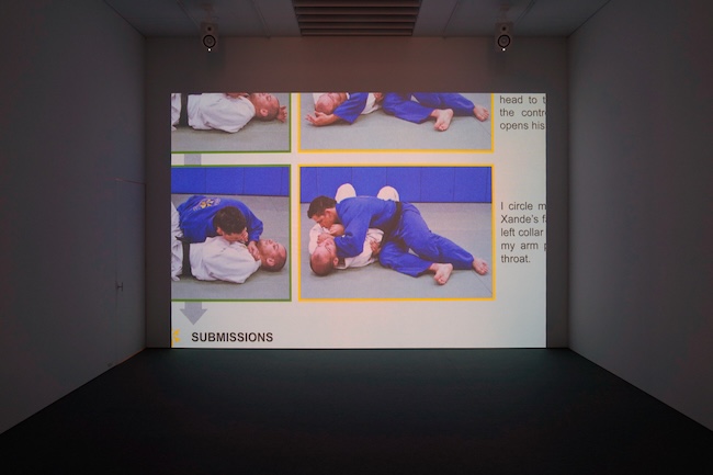 Mungo Thomson, Volume 17. Survival Manual, 4K video with sound