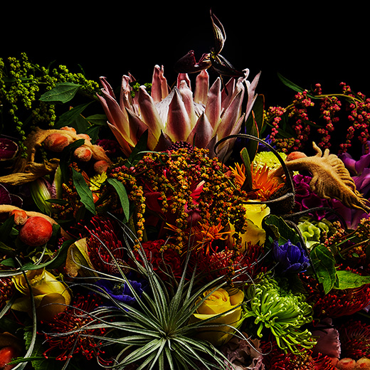 東信「今月のフラワーアート」百花繚乱の冬の幻夢 | Numero TOKYO
