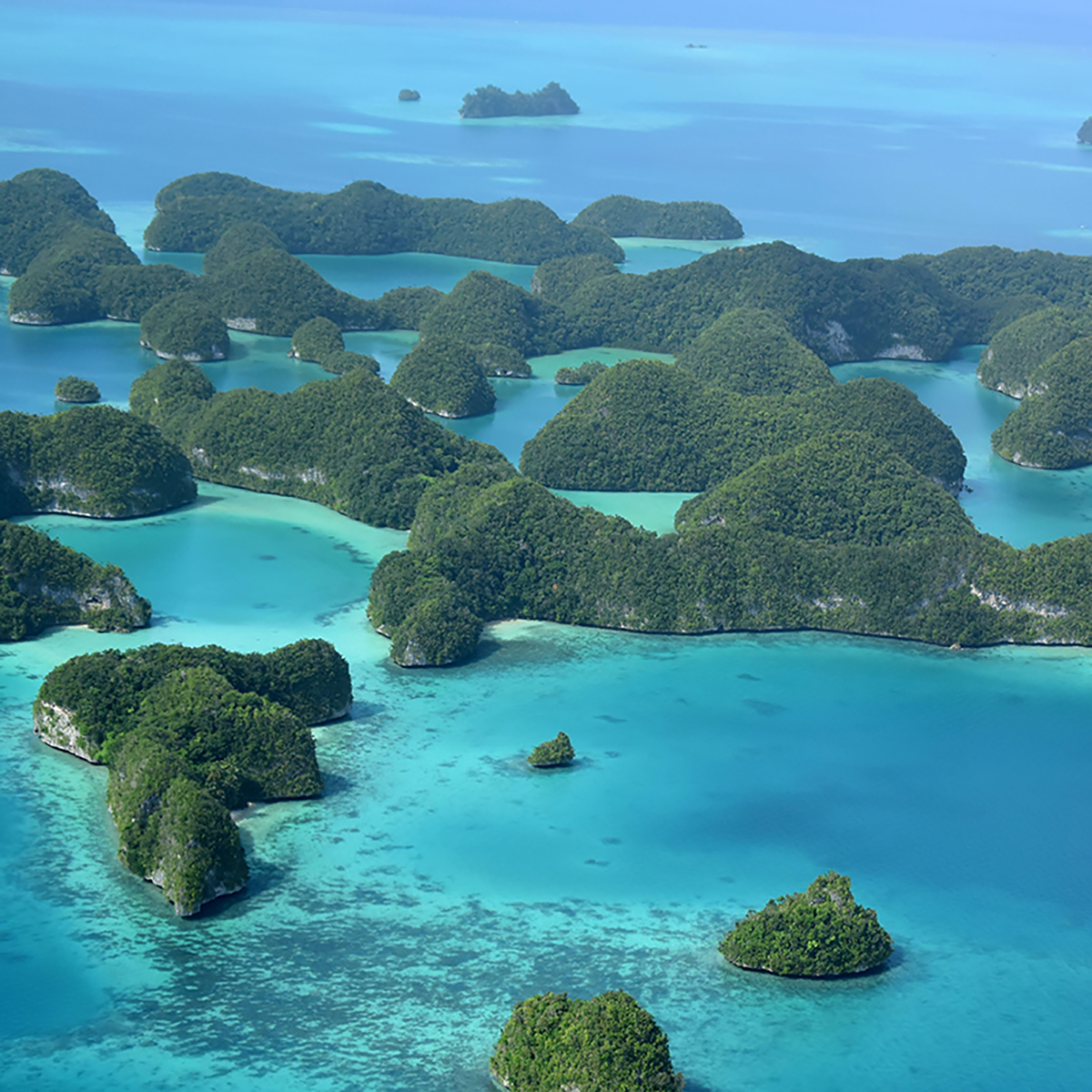 世界遺産の南の島、パラオへ直行便が就航！ 洋上リゾート『フォーシーズンズ エクスプローラー』