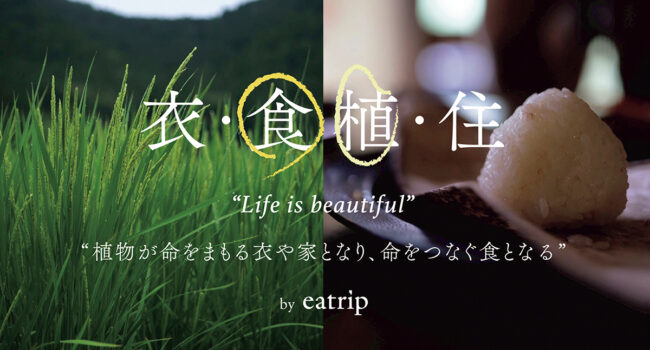 今秋の「食」展では日本人の命を育んできた米に焦点を当てた。