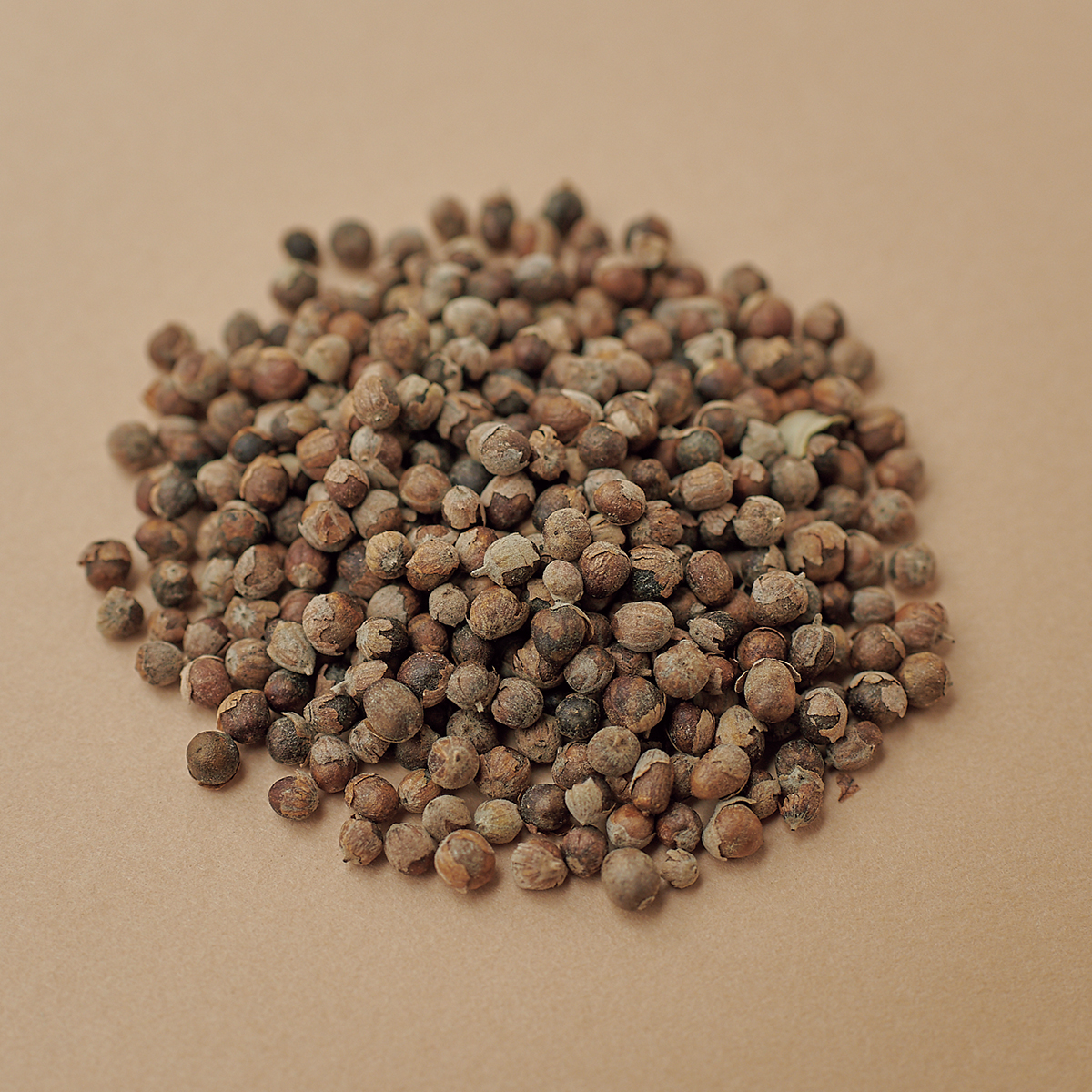 Tisane　チェストベリー（10ｇ）¥310