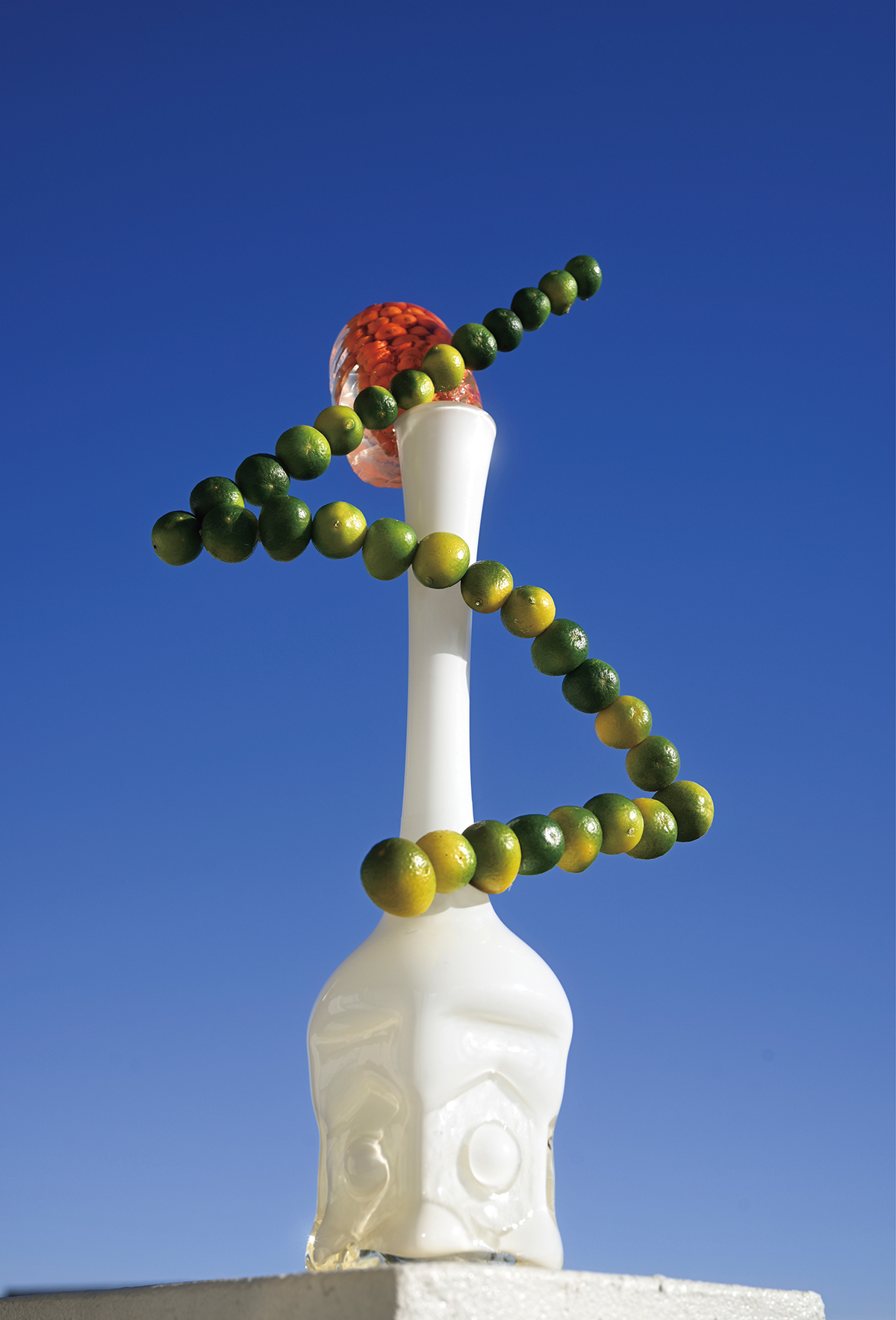 『衛星を追う』「連なったキンカンが気象衛星を捉え、なんで今日は空が青いのかをしつこく質問しています。そんな暇はない！」