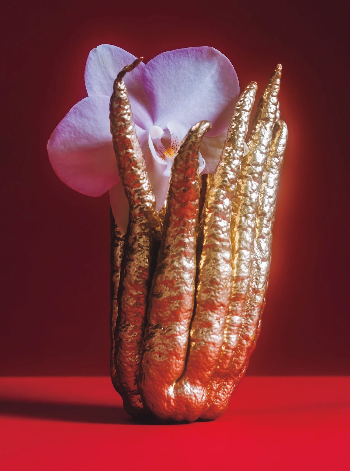 『無題』「仏の手をした柑橘の仏手柑（ぶっしゅかん）にランを1輪いけました。ジュリアンお気に入りの1枚、フォトグラファーのトキが撮影」