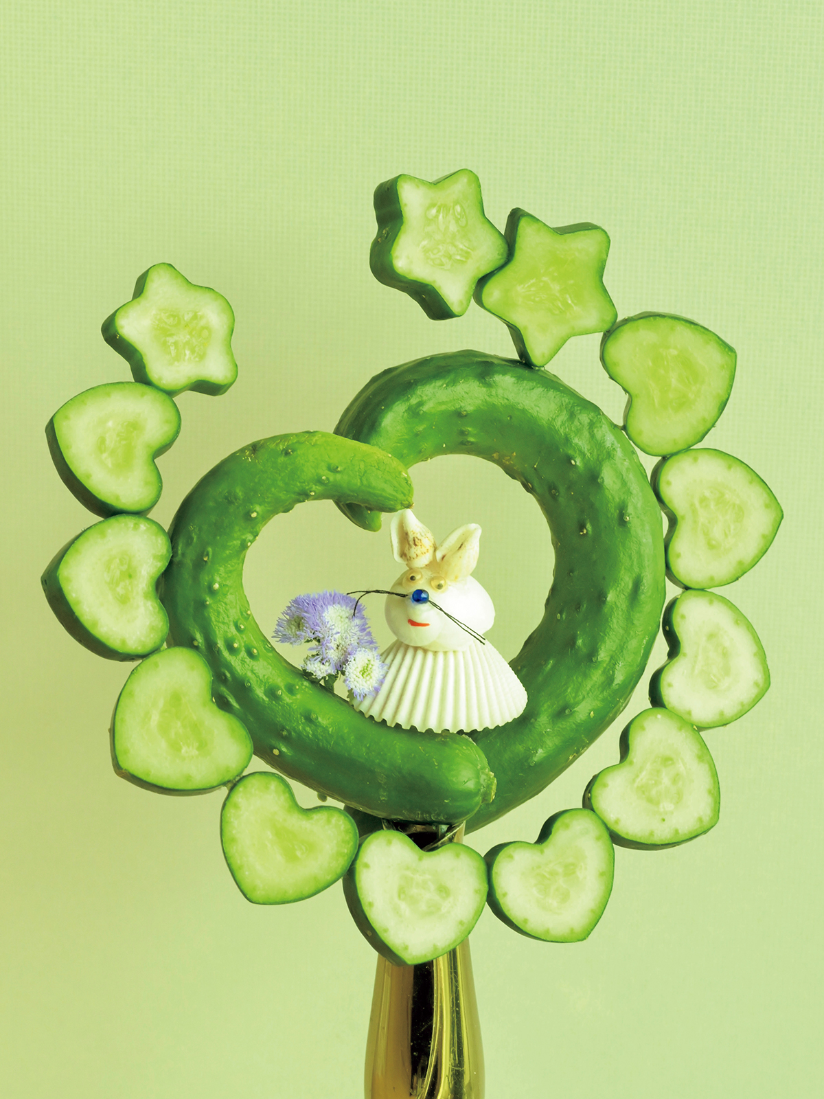 『ていねいなきゅうり暮らし』（コメントなし）