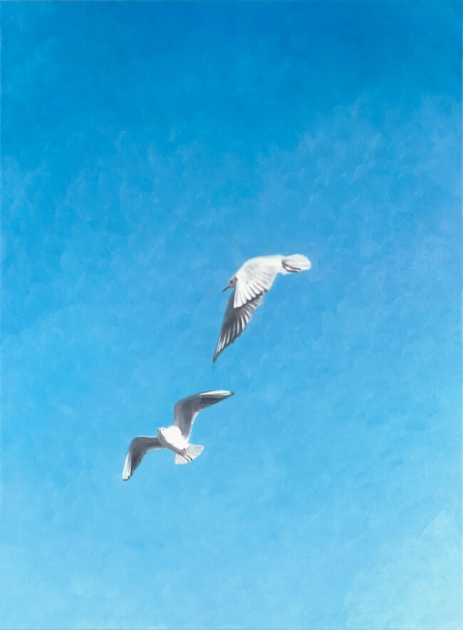 かもめ 455 x 333 mm 2025 油彩, アクリル, パネルにプリント生地