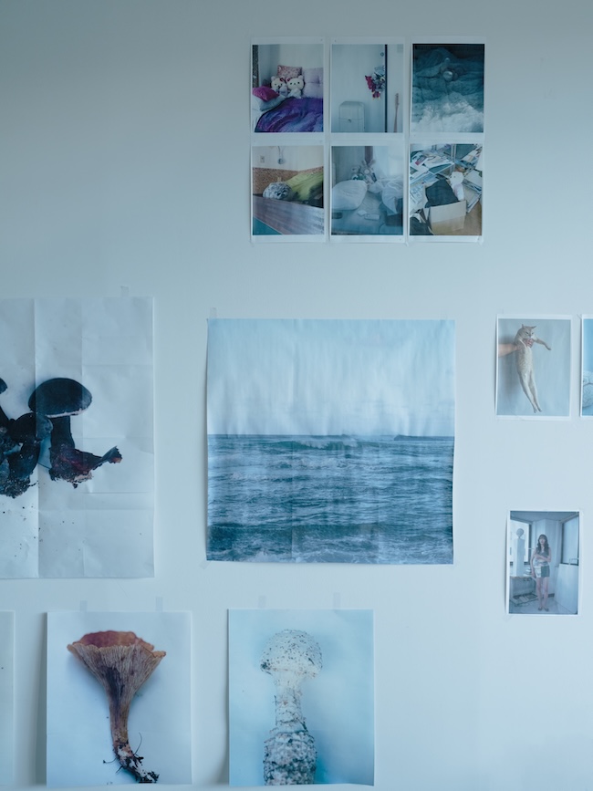 ©Takashi Homma Courtesy of TARO NASU