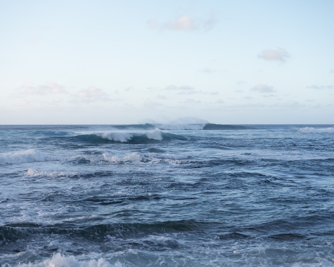 Takashi Homma　『NEW WAVES 2025-1』　（2025年）　©Takashi Homma Courtesy of TARO NASU