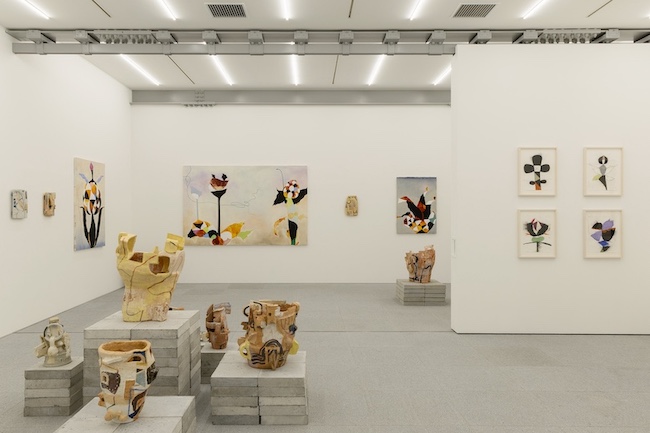 撮影: 大町晃平(W) Photo: Kohei Omachi(W)