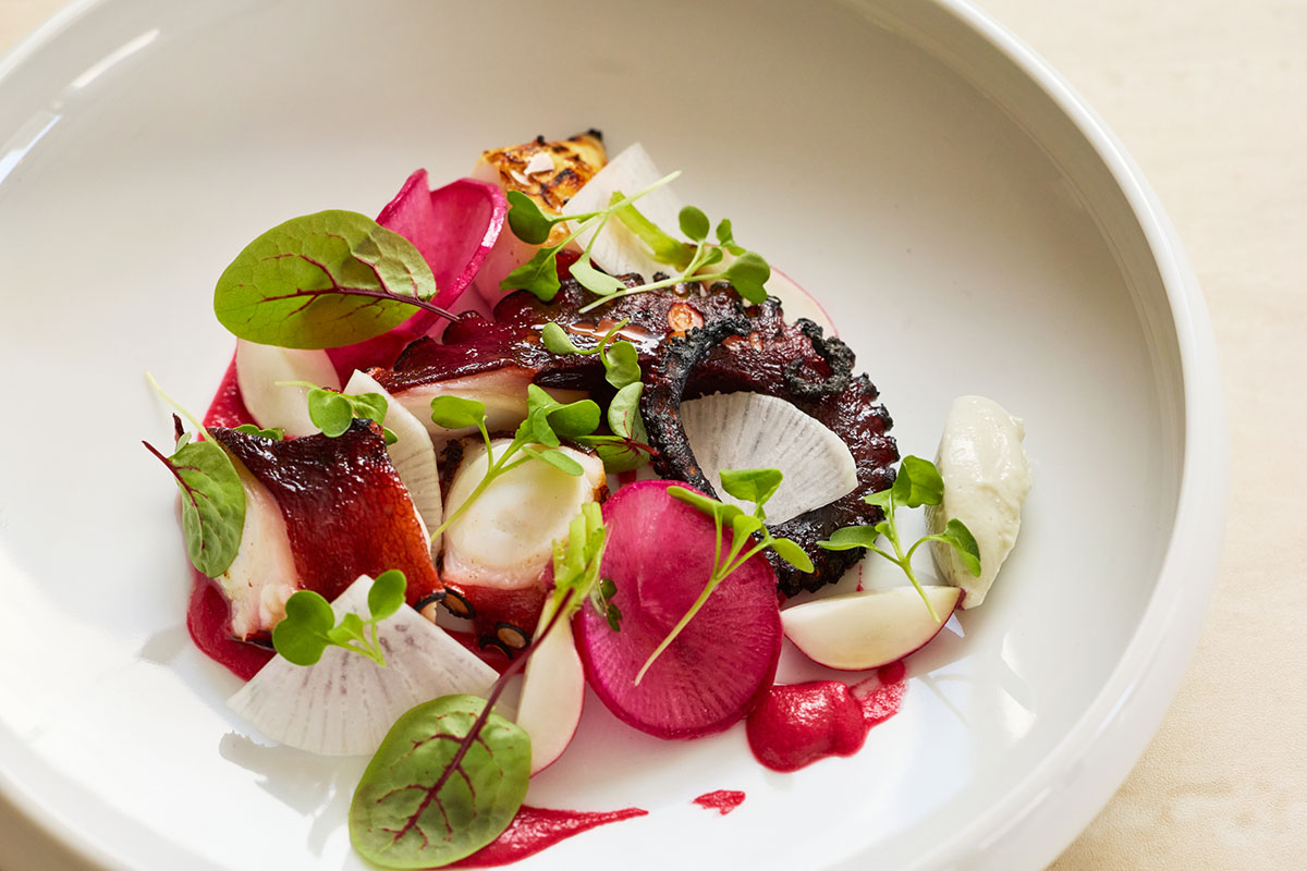 炭焼きタコのコンフィ ラディッシュのピクルスとゴルゴンゾーラ風味の麹チーズを添えて ¥1,850