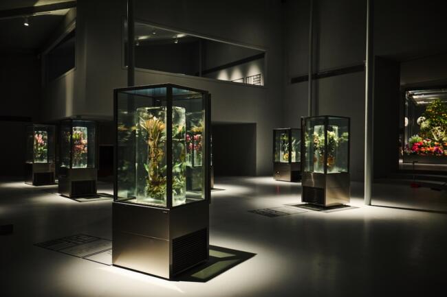 『AZUMA MAKOTO SHIKI FREEZER 2025＆ICED FLOWERS』