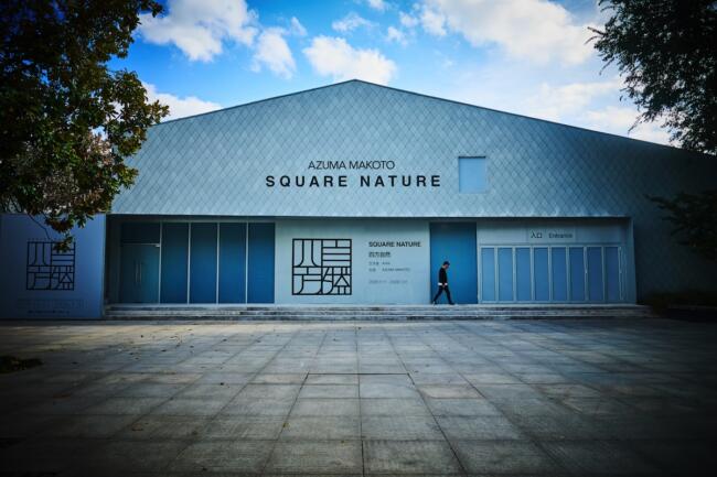 Photo：Shunsuke Shiinoki