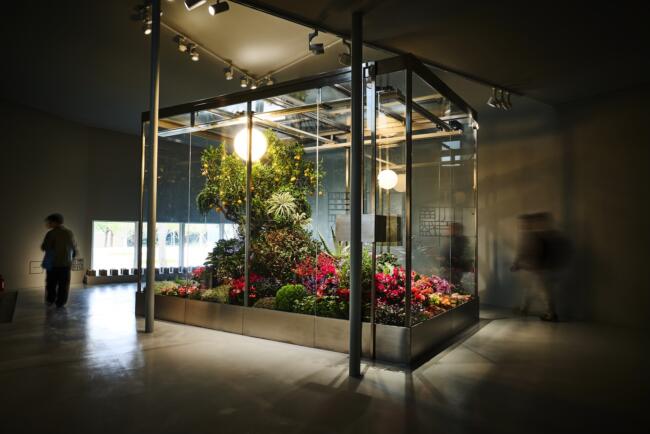 展覧会名にもなっている本展を象徴する作品『Square Nature』Photo：Shunsuke Shiinoki