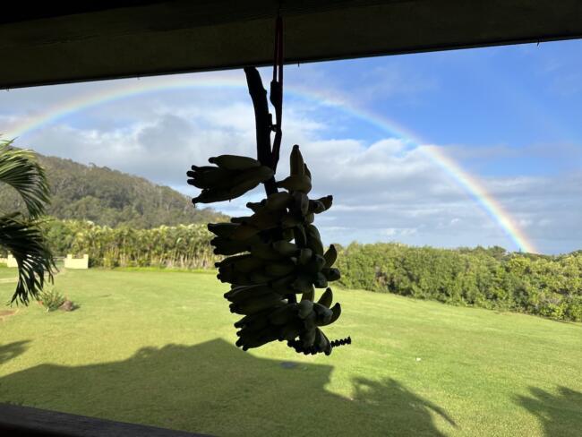 自宅の窓から美しい虹を臨む