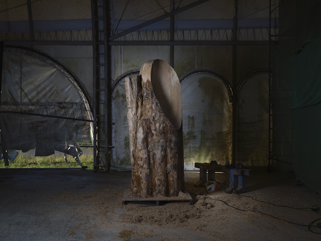 奥⼊瀬のブナを使った制作⾵景　2025年9⽉26⽇ ⼗和⽥市　撮影：⼩⼭⽥邦哉