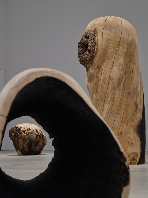 「国松希根太　連鎖する息吹」展 会場風景 撮影：小山田邦哉