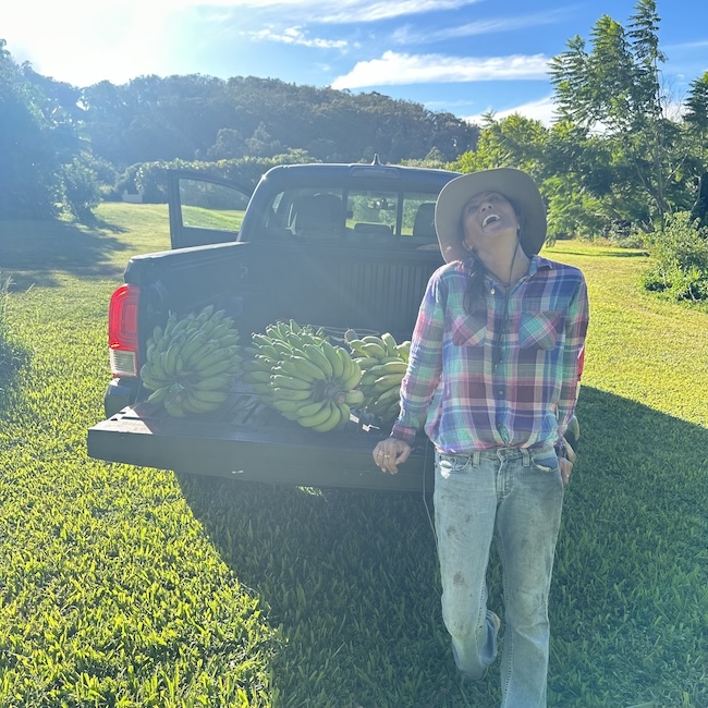 自宅の庭でバナナを収穫