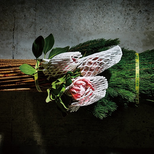 東信「今月のフラワーアート」逆説的なミニマリズム