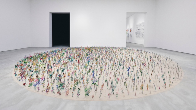 展示風景より。