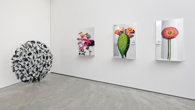 展示風景より。