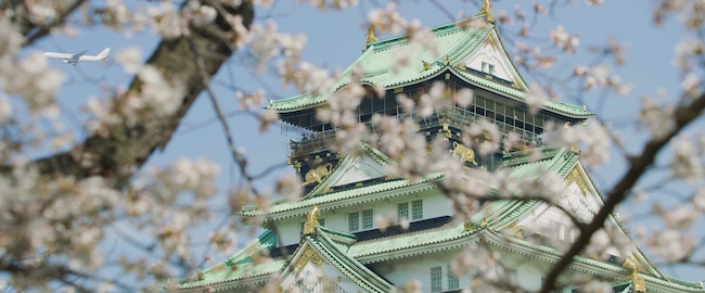 サラ・モリス『サクラ』2018年 HD Digital 50分6秒 大阪中之島美術館 © Sarah Morris