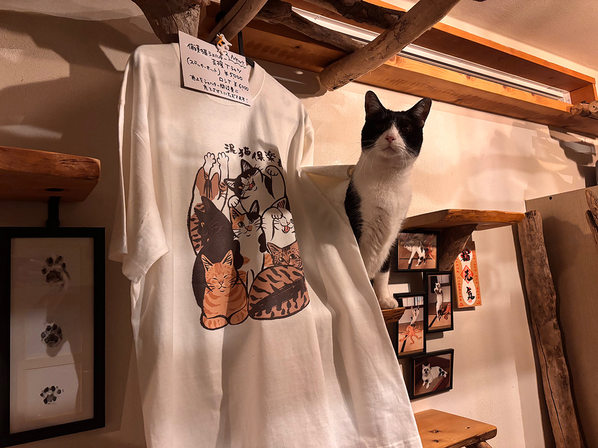 看板猫の一太郎