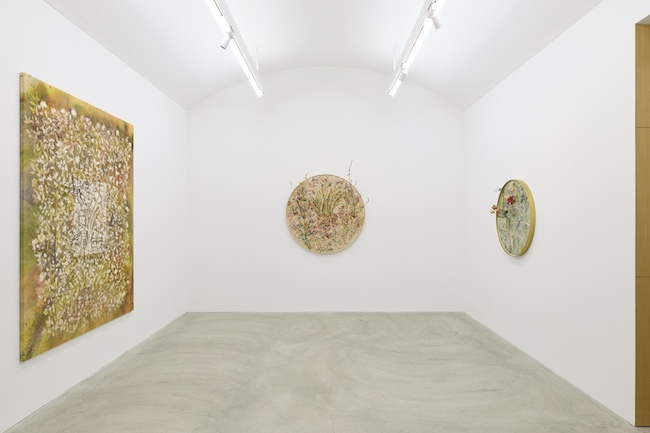 photo by Kenji Takahashi