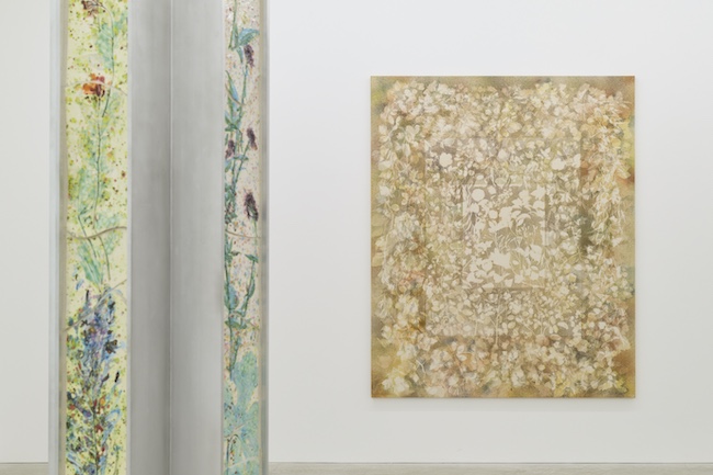 photo by Kenji Takahashi