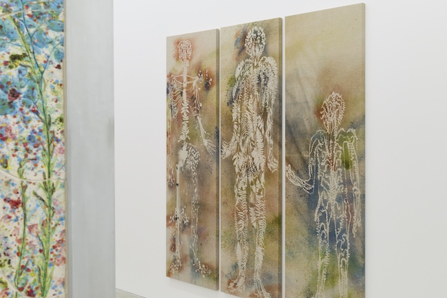 photo by Kenji Takahashi