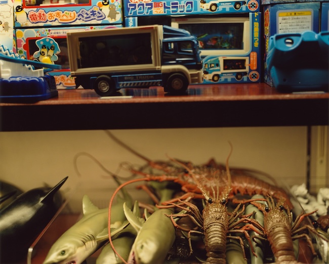 ©2026 佐内正史/Vacant