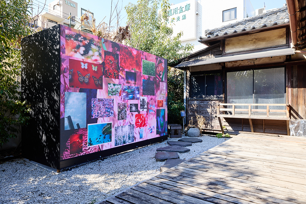 展覧会『mirror, mirror, mirror, mika ninagawa』より。庭に出現したLEDヴィジョンを縁側に座って観賞するのも、この場所ならではの醍醐味の一つ。