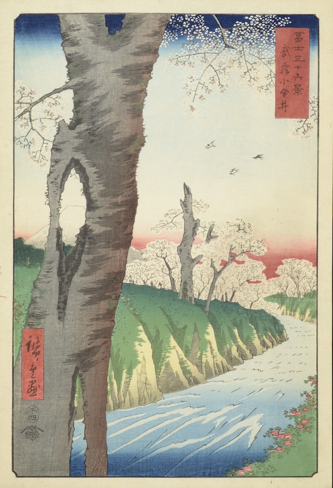 歌川広重　『冨士三十六景　武蔵小金井』　（1859年）