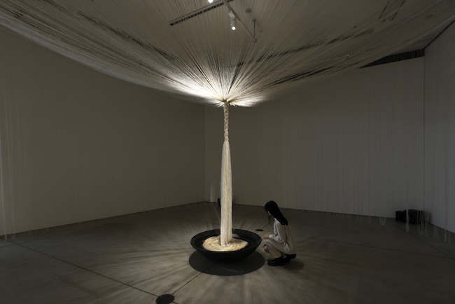 遠山夏未＋岡 篤郎＋NOTA&design（加藤駿介、加藤佳世子）『はじまりのスープ』（ギャラリー1）　撮影：木奥恵三