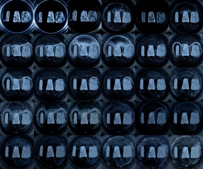 大学院で制作した、水を加えると溶けてしまうガラスを使って制作した写真作品『@i_am____sick, 1.13.2021-3.11.2021』