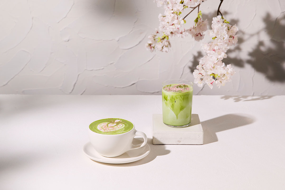 抹茶チェリーブロッサムラテ（ホット／アイス）¥980 ※季節限定