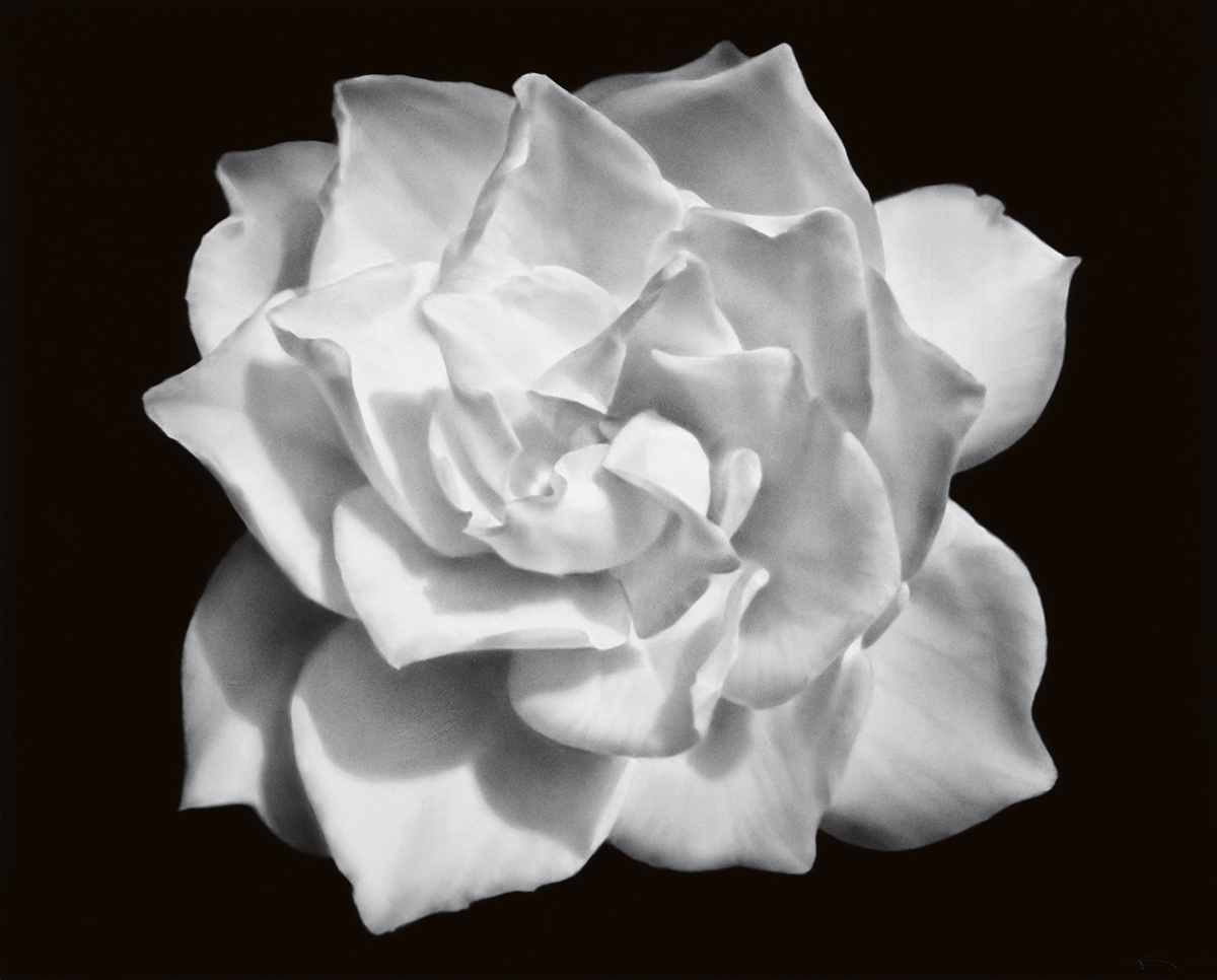 『Untitled （Gardenia for Mary）』2026年　© 2026 Robert Longo/Artists Rights Society （ARS）, New York.