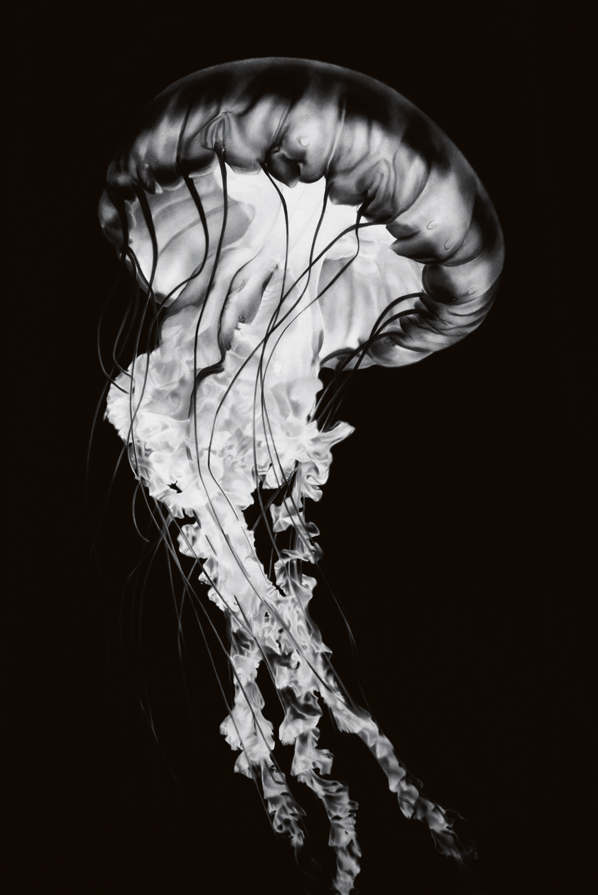 『Untitled （Immortal Glass）』2026年　© 2026 Robert Longo/Artists Rights Society （ARS）, New York.