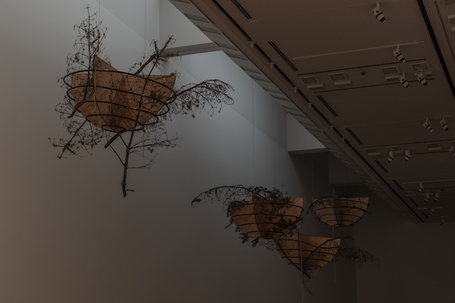 ほぼ、空:青木淳 + リチャード・タトル 展示模型 撮影:ToLoLo studio