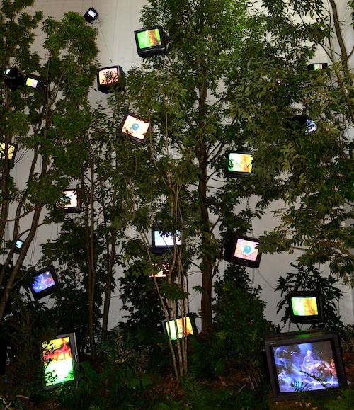 ケージの森/森の啓示(部分) 1993 植物、モニター20台、映像3チャンネル、再生機3台、ステレオ1組